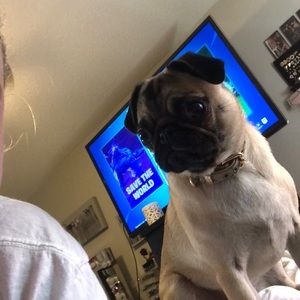 Meet your Posher, Tyler